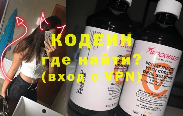 шишки Лиски