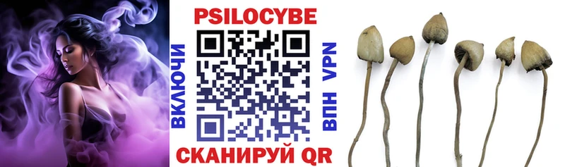 Галлюциногенные грибы мицелий  где можно купить   гидра рабочий сайт  Цимлянск 